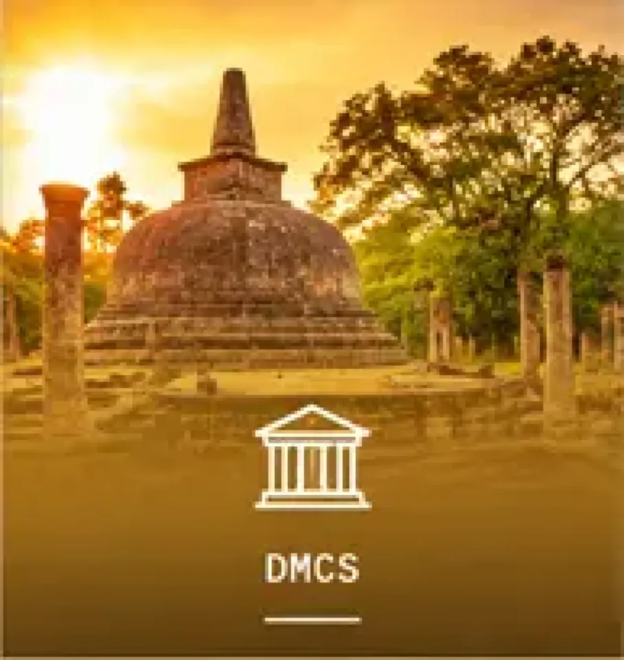 DMCs