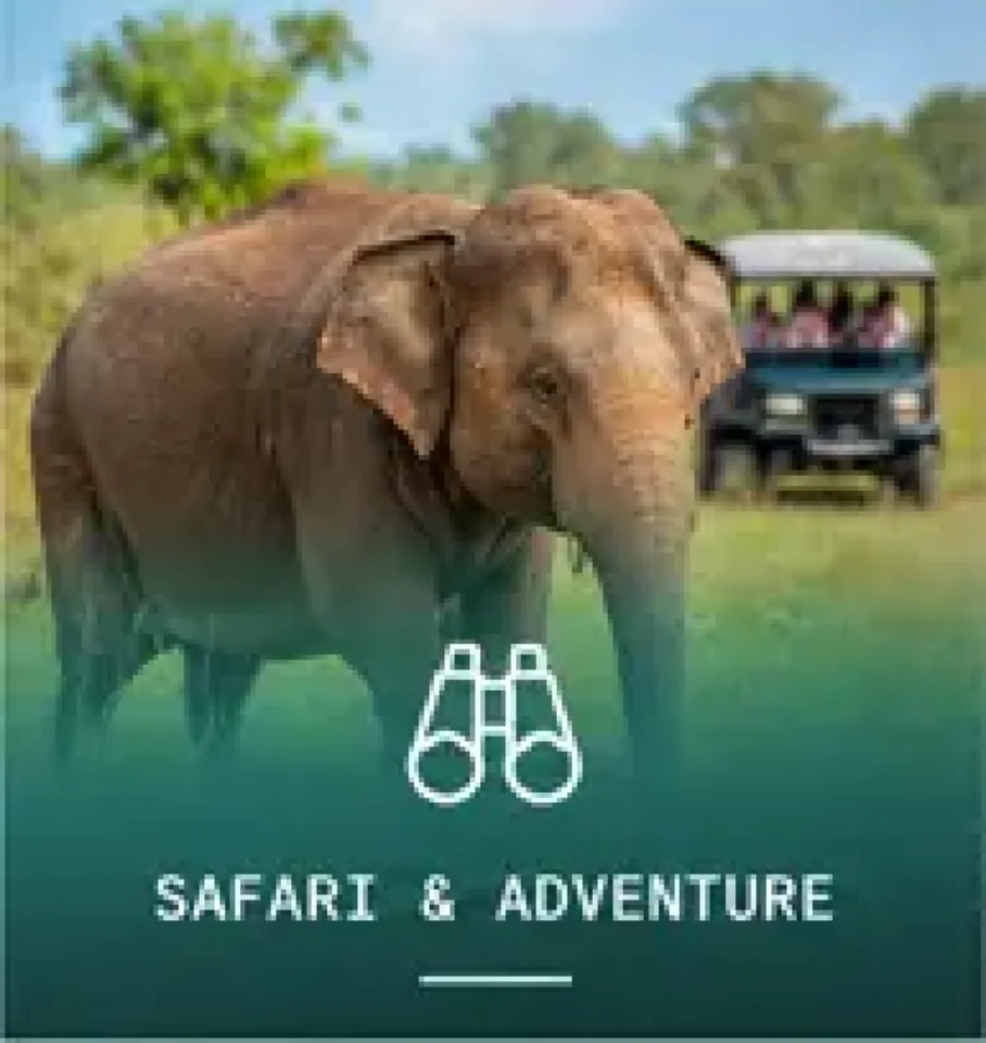 Safari & adventure