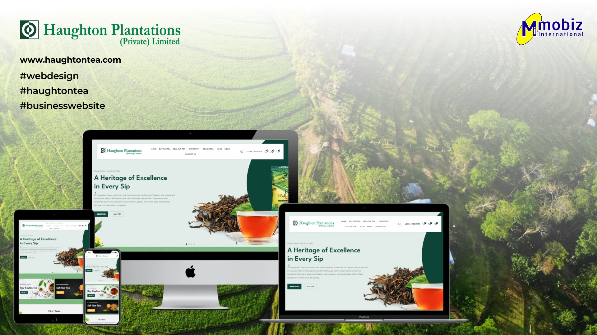 Ceylon Tea E-Commerce | Haughton Teas Case Study