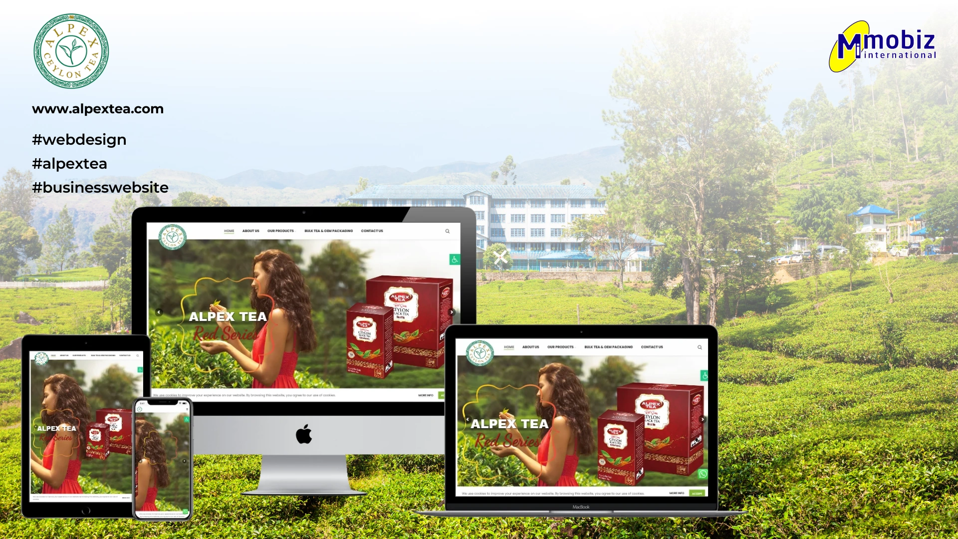 Ceylon Tea Export Website | Alpex Ceylon Tea Case Study