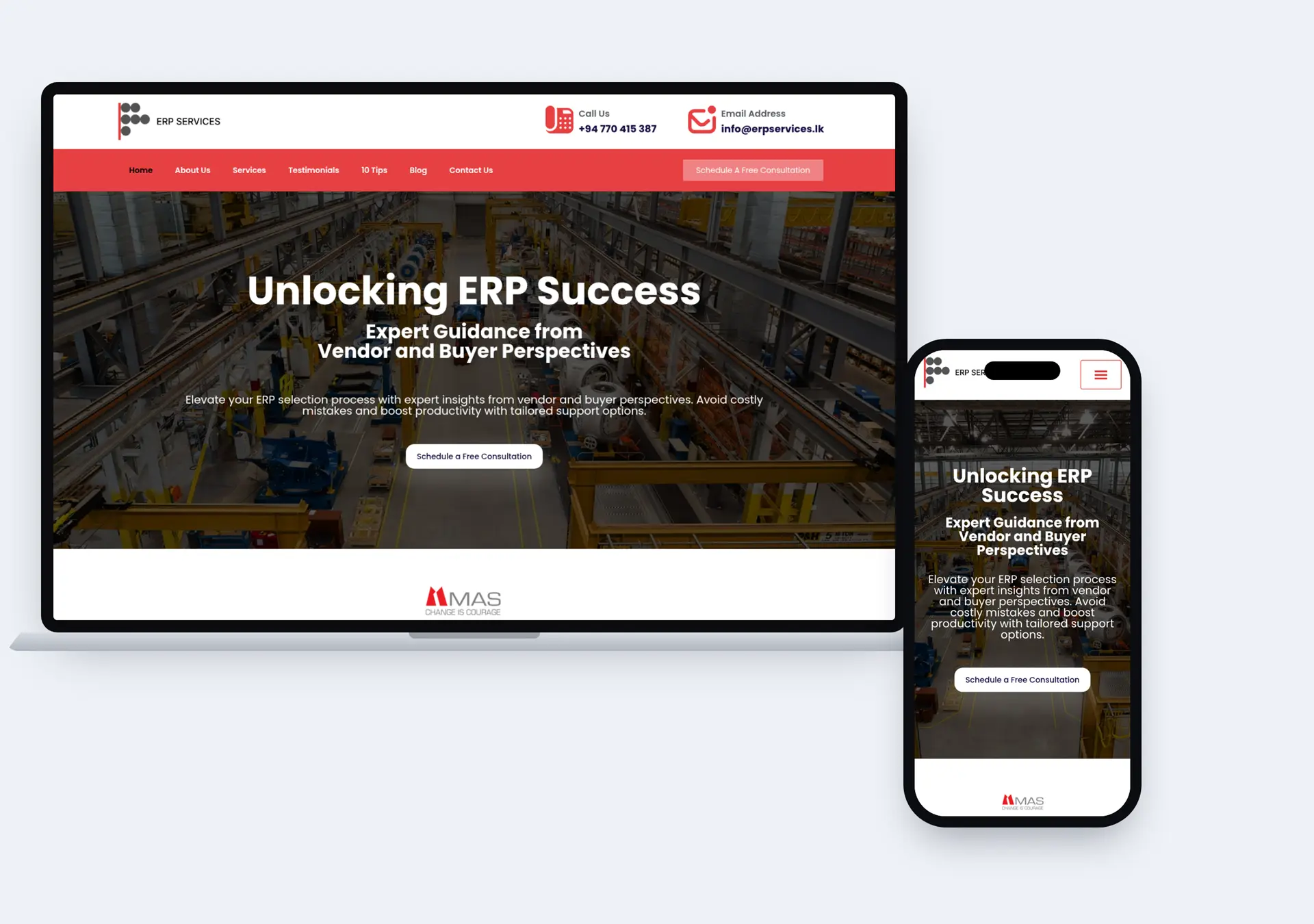 Hosting & Maintenance | ERP Services (ERP Consulting) Case Study